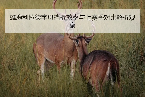 雄鹿利拉德字母挡拆效率与上赛季对比解析观察