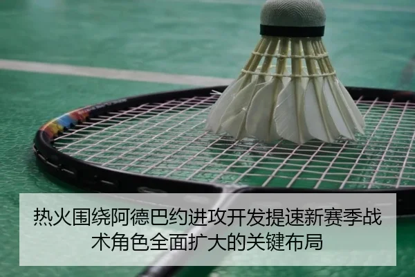 热火围绕阿德巴约进攻开发提速新赛季战术角色全面扩大的关键布局