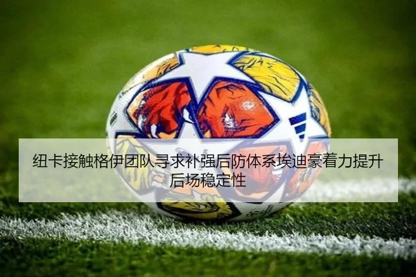 纽卡接触格伊团队寻求补强后防体系埃迪豪着力提升后场稳定性